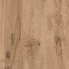 Drawbridge Oak-74 (WLM04)