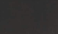 Mystique Oak Southwest Hardwood Floors Inc