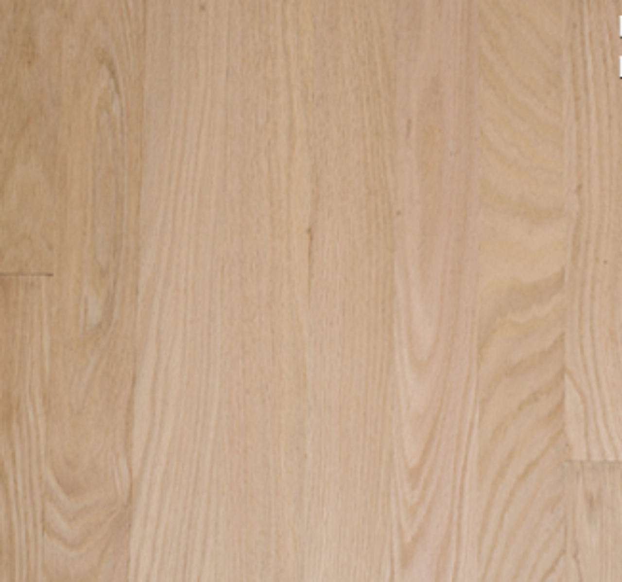 Premium Red Oak 2.25" S.E.