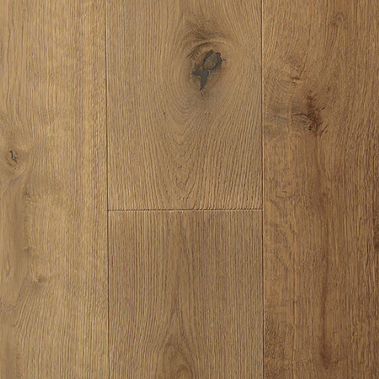 European Oak - Amiens