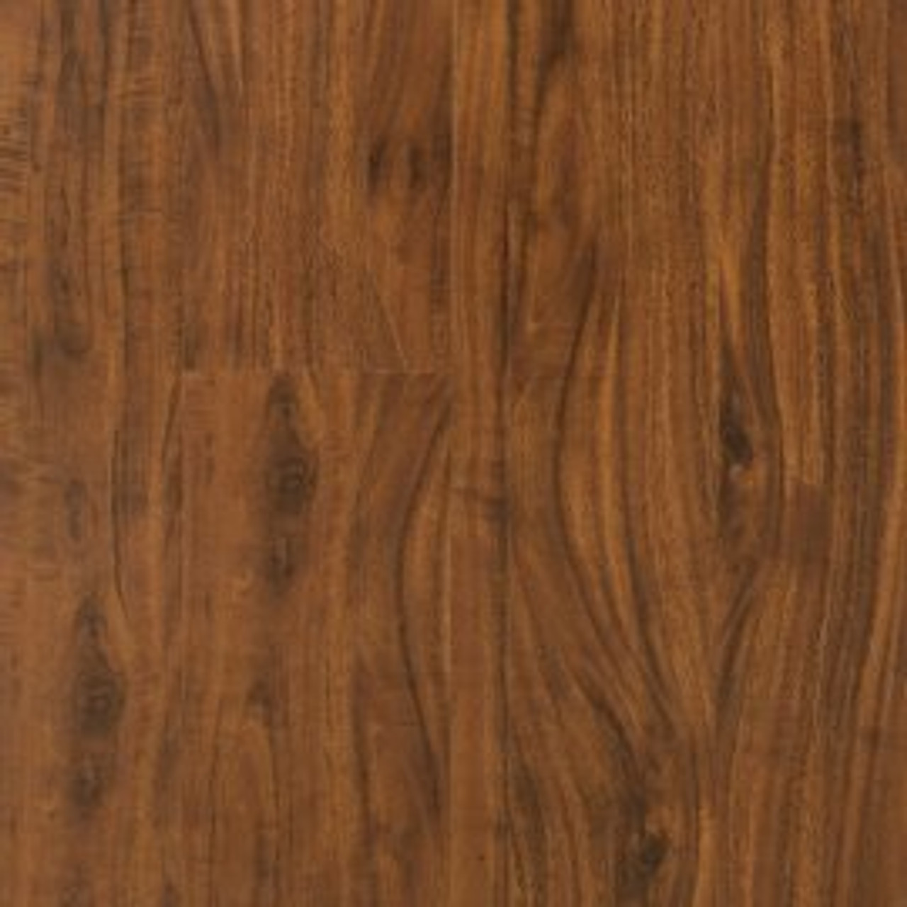 Amazonian Hickory