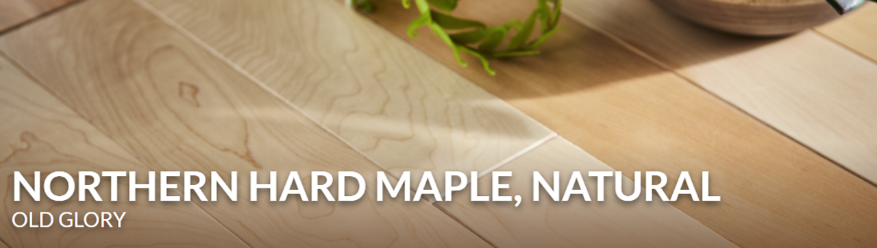 Natural Hard Maple OGC 2mm