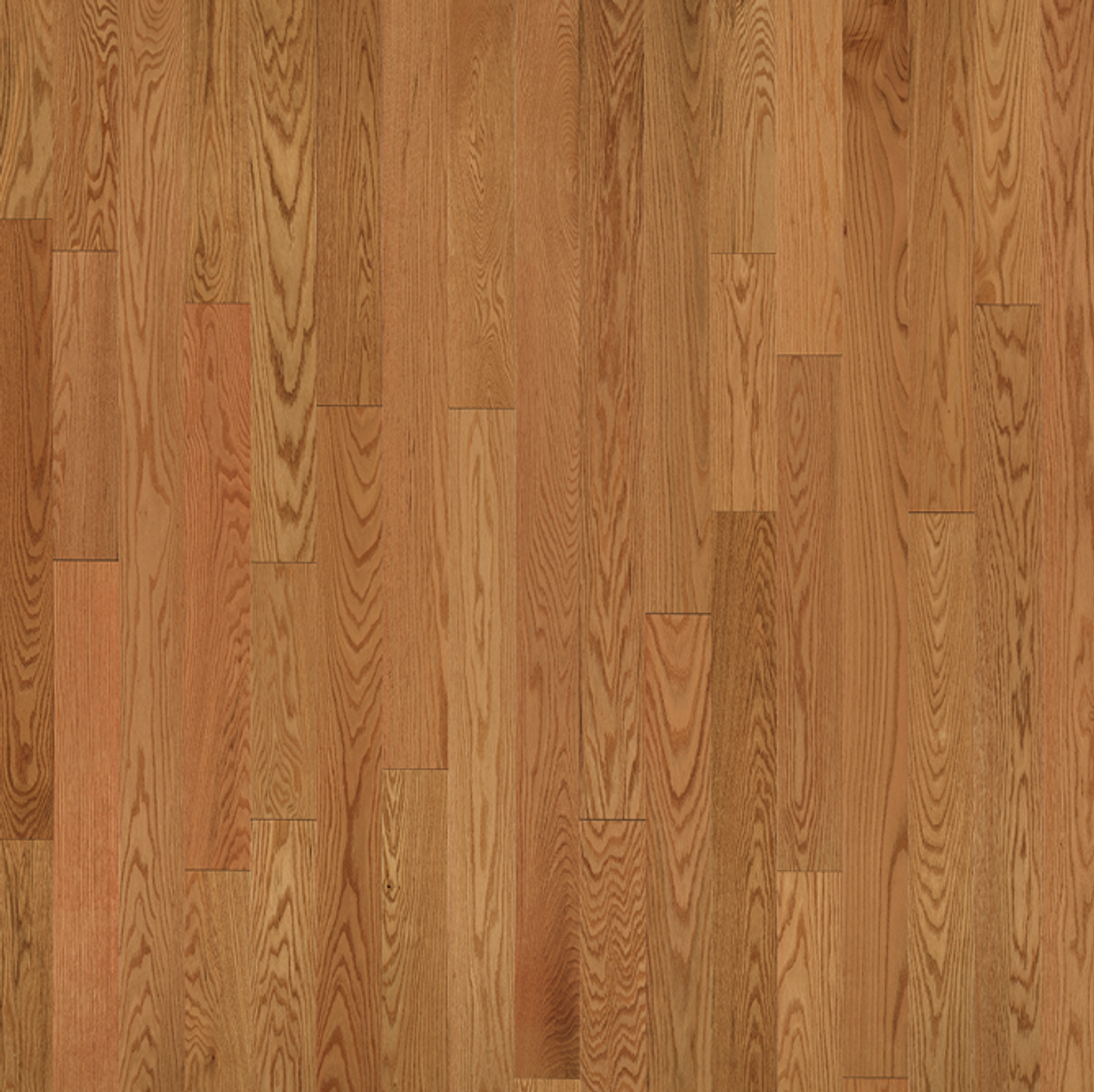 Auburn - Red Oak 5"