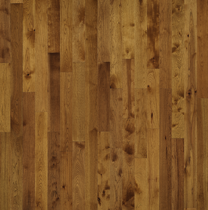 Buckskin - Hickory 5"