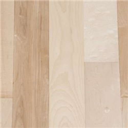 Maple - Natural 5"