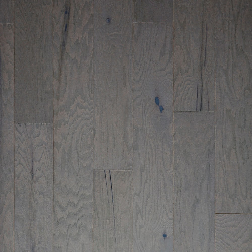 Elk Oak (NRW)