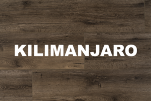 Kilimanjaro Oak SPC