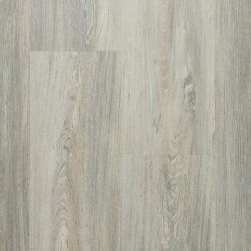 Nova Birch