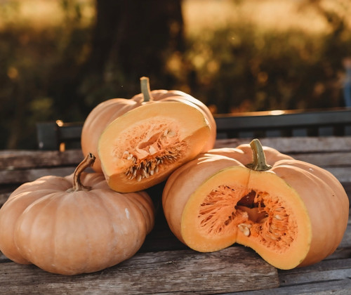 Long Island Cheese Pumpkin Seeds
