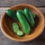 Quick Snack Patio Cucumber Seed