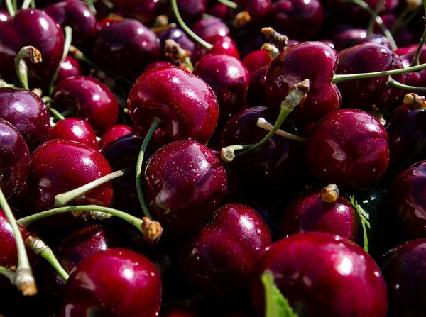 Prunus' Sweetheart Cherry Tree