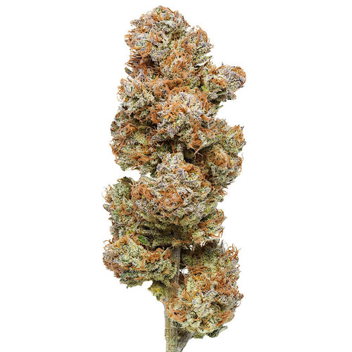 Sour Tsunami CBD flower bud strain