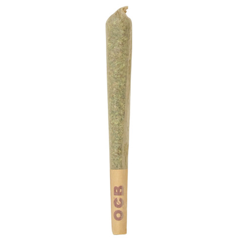 Artisan preroll CBD joint containing the Orange Soda strain from Flow Gardens