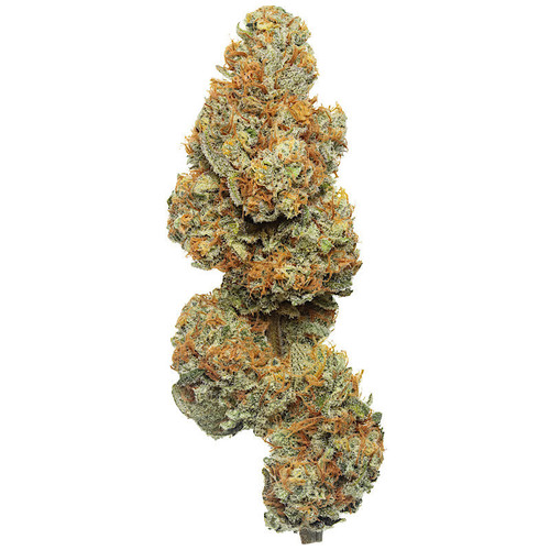 Mango Tree CBD flower bud strain sold by Flow Gardens
