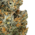 Bubblegum x Chem (Caps Cut)