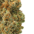 Acapulco Gold
