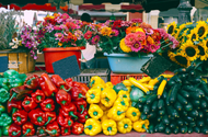 Mercado de Jamaica, 66 años de vender flores en CDMX | Mercado Jamaica Online®