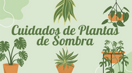Cuidados de Plantas de Sombra