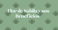 Flor de Sábila y sus Beneficios