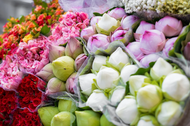 Florerías en Mercado Jamaica | Mercado Jamaica Online®