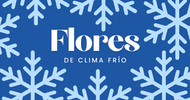 Flores de Clima Frio