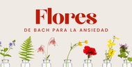 Flores de Bach para la Ansiedad