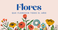 Flores que Florecen Todo el Año