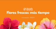 Flores frescas más tiempo: consejos 2025