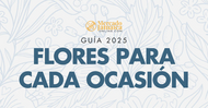 Flores para cada ocasión: guía 2025