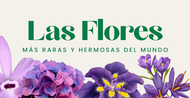 Las Flores mas Raras y Hermosas del Mundo
