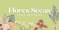 Flores Secas para Decorar