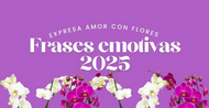 Frases emotivas 2025: expresa amor con flores