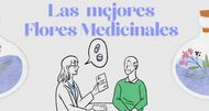 Flores Medicinales en México