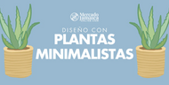 Plantas minimalistas: equilibrio, diseño y vida natural