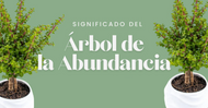 Significado del Árbol de la Abundancia