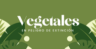 Vegetales en Peligro de Extinción