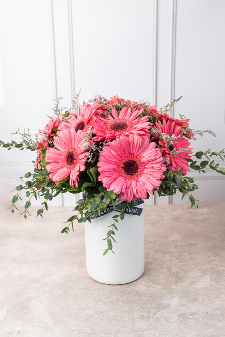Dulce Primavera / Gerbera Rosa CHIH.