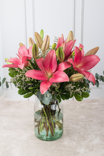 Las Brisas Flores / Lilium Rosa CHIH.