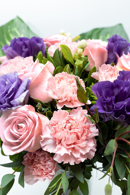 Amor Bonito / Rosa Clarita, Clavel Rosa y Lisianthus TGZ