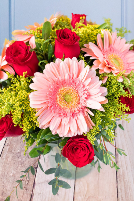 Baila Conmigo / Gerbera Rosa y Rosa Roja TGZ