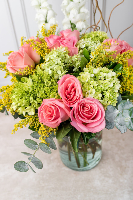 Brillante / Rosa Clarita y Hortensia TGZ