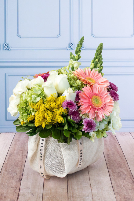 Querida / Gerbera Rosa, Morelianas y Hortensia PTO. ESCOND.