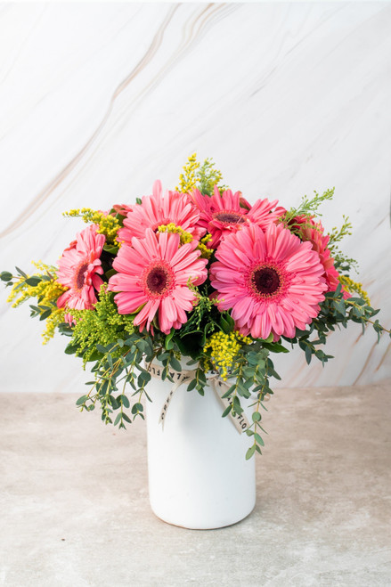 Chispitas de Gerberas / Gerbera Rosa PTO. ESCOND.