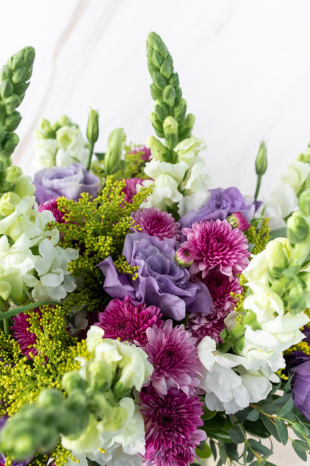 Aurora Boreal - Lisianthus Morada, Morelianas y Perrito Blanco