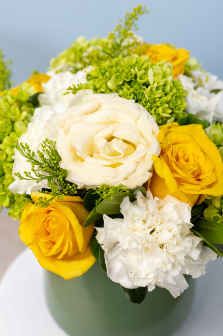 Armonía - Rosa Amarilla y Blanca, Clavel Blanco y Hortensia