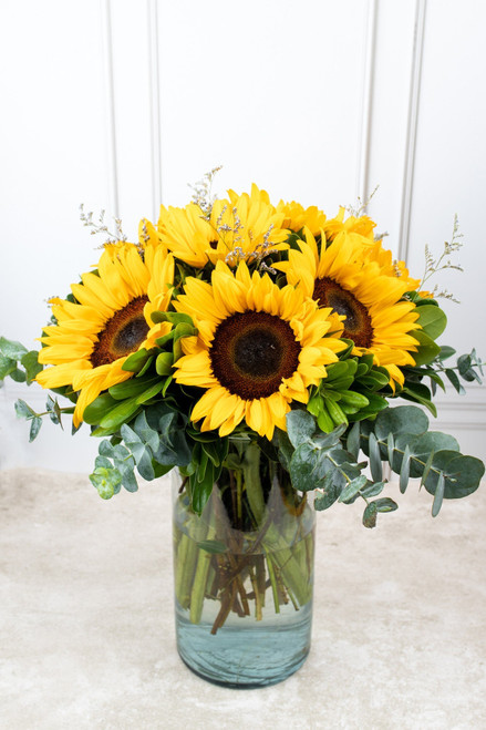 Sonrisa de Sol / Girasoles OAX CENTRO