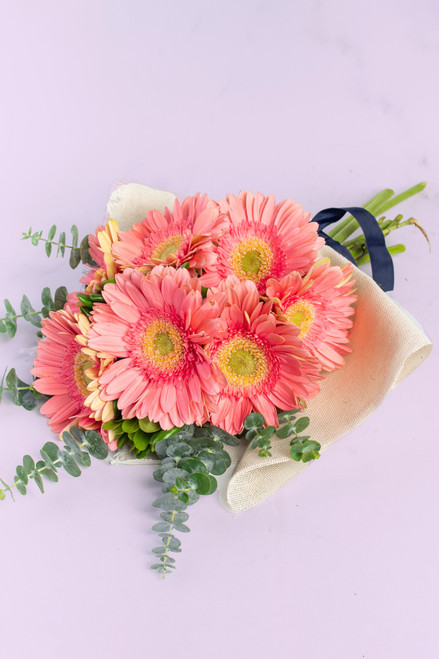 Ramo 6 Gerberas / Envoltura Yute CH/IXT