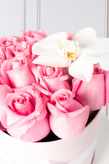Everest / Caja de Rosas Claritas y Orquídea CH CH/IXT