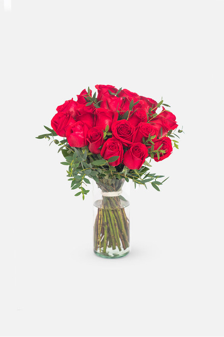 Amor con Rosas / Rosa Roja (OBREGÓN)