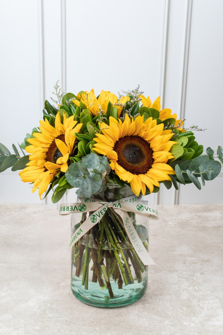 Sonrisa de Sol / Girasoles (OBREGÓN)
